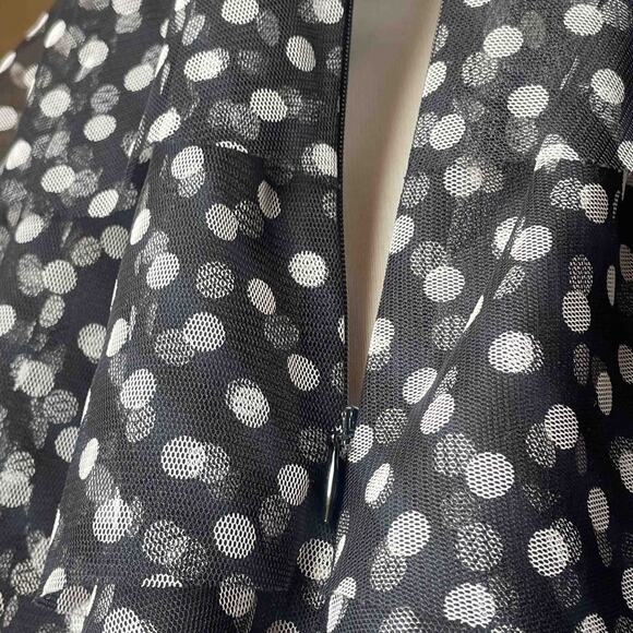 Cynthia Steffe Mesh Ruffle Dress 6 Coquette Retro Pinup Doll Polka Dot 50s Vibe - Picture 2 of 7